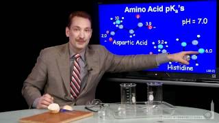 Amino Acid pKa [upl. by Annait863]