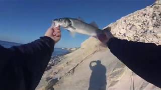 Shore fishing in Cyprus Seabass Lavraki on soft bait  Рыбалка с берега на Кипре лаврак [upl. by Lael273]