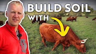 REGENERATIVE GRAZING Using Cows to Rebuild Soil After a Century of Tillage [upl. by Uok]