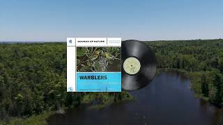 Sounds of Nature  Warblers Songs of Warblers of Eastern North America EP [upl. by Vinnie]