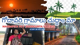 How is West Godavari village  Mandapeta to Doddigunta villageVillage life Paddyformermandapeta [upl. by Sirraj811]