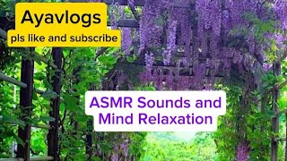 ASMR Sound and Mind Relaxation [upl. by Tram123]