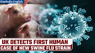 Swine Flu First human case of new strain detected in UK  Public caution advised  Oneindia News [upl. by Persian]