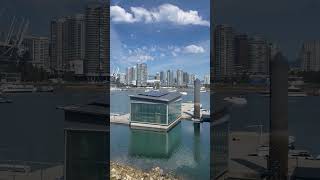 False Creek from Seawall at Olympic Village vancouver city water summer trending travel [upl. by Hakym329]