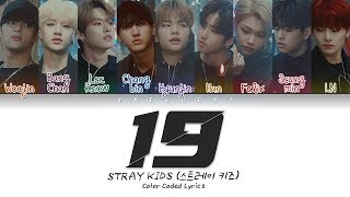 Stray Kids  19 Color Coded Lyrics EngRomHan가사 [upl. by Leizahaj]