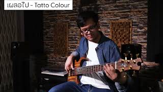 เผลอไป  TATTO COLOUR  Bass Cover By Time [upl. by Belayneh]