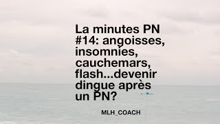 La minute PN 14 angoisses insomnies cauchemars flashdevenir dingue après un PN [upl. by Swenson]