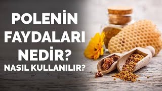 POLEN NASIL KULLANILIR Polenin Faydaları [upl. by Ylellan]