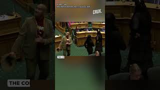 Maori MPs Stage Haka Protest In New Zealand Parliament Against Indigenous Treaty Bill [upl. by Jo-Ann]