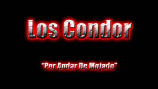 Los Condor Por Andar De Mojado Original [upl. by Ayel]