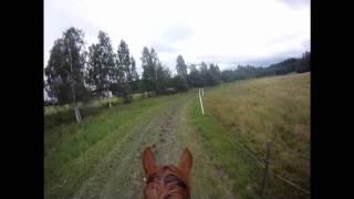 Pontus Hugosson Eventing Bollnäs Headcam [upl. by Loredo]