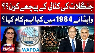 Who is behind deforestation  What did WAPDA do in 1984  Experts Analysis  News Punch [upl. by Llednohs]