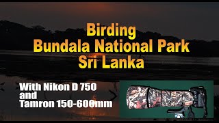 Birding in Bundala National Park in Sri Lanka Using Nikon D750 camera and Tamron 150600mm lens [upl. by Mickelson]