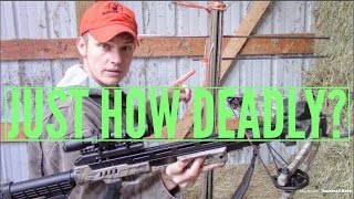 Just How DEADLY Is The CenterPoint Sniper 370 Crossbow [upl. by Hajidak]