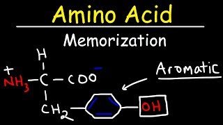 Memorize The 20 Amino Acids  The Easy Way [upl. by Ynehteb]