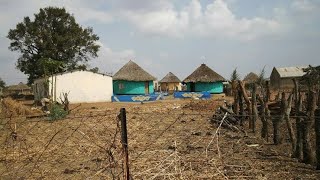 We lived happily in our mud houses  huts [upl. by Adnwahsat]