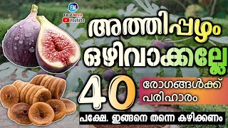 അത്തിപ്പഴം അത്ഭുതമാണ്😳 40 രോഗങ്ങൾക്ക് മരുന്നുണ്ട് അതിൽ പക്ഷേ ഇങ്ങനെ കഴിക്കണം [upl. by Merdith]