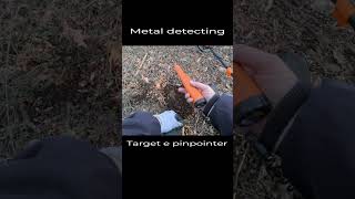 Target e Pinpointer nel Metal Detecting [upl. by Tibold]