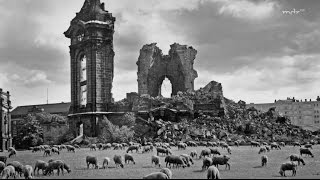 Mythos Dresden  Der lange Schatten einer Bombennacht [upl. by Tterej]