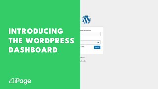 Introducing The WordPress Dashboard [upl. by Tine568]