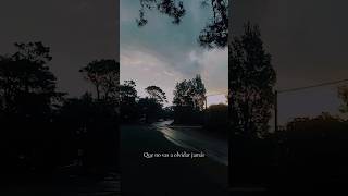 Amor de Vago  Letra  latylam cumbia tiktok tiktokvideo buenosaires viralsong argentina fyp [upl. by Ailicec]