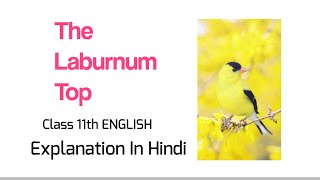 The Laburnum Top Class 11 English Poem Explanation In Hindi  Class 11 English  Beloved Academy [upl. by Raycher]