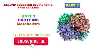 Urea cyclePROTEINS Metabolism UNIT 3 PART 3 BIOCHEMISTRY bscnursing secondsemester [upl. by Hajar]