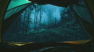 Torrential Rain amp THUNDER on a Camping TentLost in the ForestSleep to Rain Sounds in the WILD [upl. by Eiramyma]