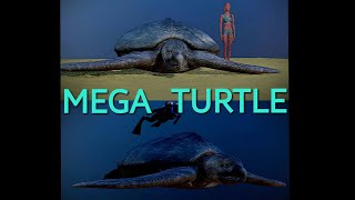 The Largest Turtle Ever Archelon 3D size visualization [upl. by Annay]