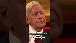 Der Fall der Großen Koalition Aufstieg der Diktatur Geschichte aus erster Hand Helmut Schmidt [upl. by Rezzani613]