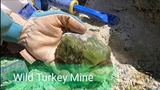 Wild Turkey Mine Stevens Co Washington [upl. by Turne777]