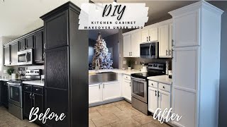 How To Paint Around Kitchen Cabinets  Spencer Colgan [upl. by Ryon]