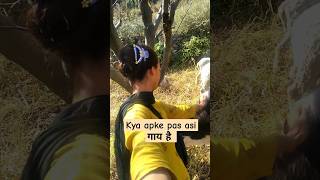 Nagseni vlog nagseni villagelife Minivlog shortvideo pahadi 🌺🌼😍🍁 [upl. by Tyler]