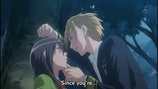 Everybody Loves Usui  Kaichou wa Maidsama AMV [upl. by Ahsinauj]