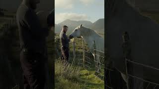 Connemara Pony loves the bodhrán 🎶 bodhran pony irish [upl. by Nica]