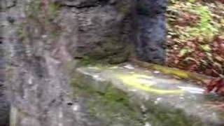 Witches Castle In Portland Oregon  HAUNTED  GHOSTS  PARANORMAL ACTIVITY [upl. by Anelem]