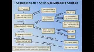 Elevated Anion Gap Metabolic Acidoses  Abridged Understanding ABGs  Lecture 8 [upl. by Oznola496]