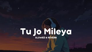 Tu Jo Mileya  Lofi Slowed  Reverb  Juss x MixSingh  SlowVibe Sounds [upl. by Aigneis]