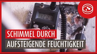 Ursachen von Feuchtigkeit und Schimmel Kapillar aufsteigende Feuchtigkeit [upl. by Lopes]