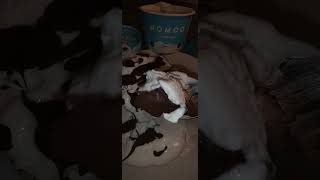 Asmr Food Veganes Bounty Eis😍 Nomoo Kokosnuss Eis von EveryFoods amp Cocoanel dark Choc Diamonds😍🍫 [upl. by Omik]