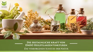 DMSO Heilpflanzen Tinkturen  Dr rer nat Hartmut Fischer [upl. by Anaibaf]