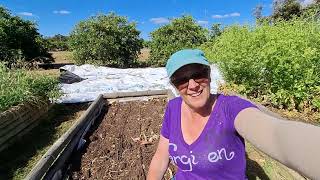 Sourdough sandwich bread and garden prep [upl. by Ajdan905]