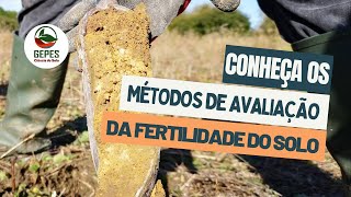 Como avaliar a fertilidade do solo [upl. by Enawd]