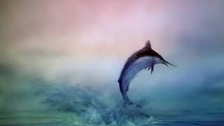 Film animation  Le vieil homme et la mer [upl. by Neeli283]