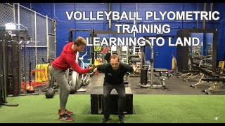 Volleyball Plyometric Training  Video 1 Learning to Land [upl. by Ellita]