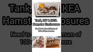 Aquarium Tank DIY amp IKEA Hack Hamster Cages hamstercare largehamstercage ikeahamsterhack [upl. by Encrata809]