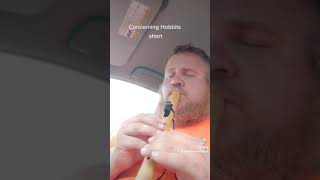 lotr Concerning Hobbits short Paul Harvey flute guy [upl. by Notxed]