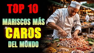 INCREIBLE  LOS 10 MARISCOS MAS CAROS DEL MUNDO  EL ULTIMO CUESTA UN PRECIO INCREIBLEMENTE ALTO [upl. by Catrina]