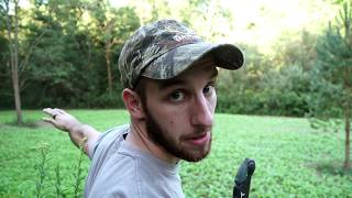 Ultimate Poor Mans Plot  Brassicas  Tree Stand Setup  Ohio Bowhunting [upl. by Johansen455]