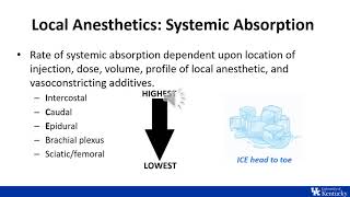 ITE Review  Regional Anesthesia Physiology and Pharmacology  Dr Johnson [upl. by Enellij]